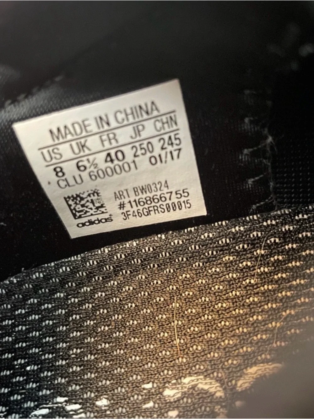 adidas Blue Alpha Bounce Running Shoes